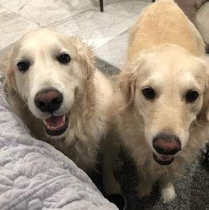 Meet your Posher, Dee